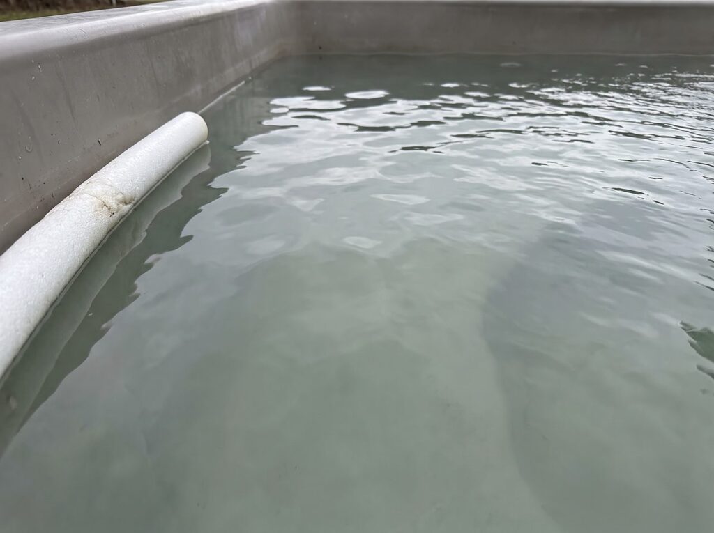 cloudy, dull-looking spa water surface signaling total dissolved solids buildup